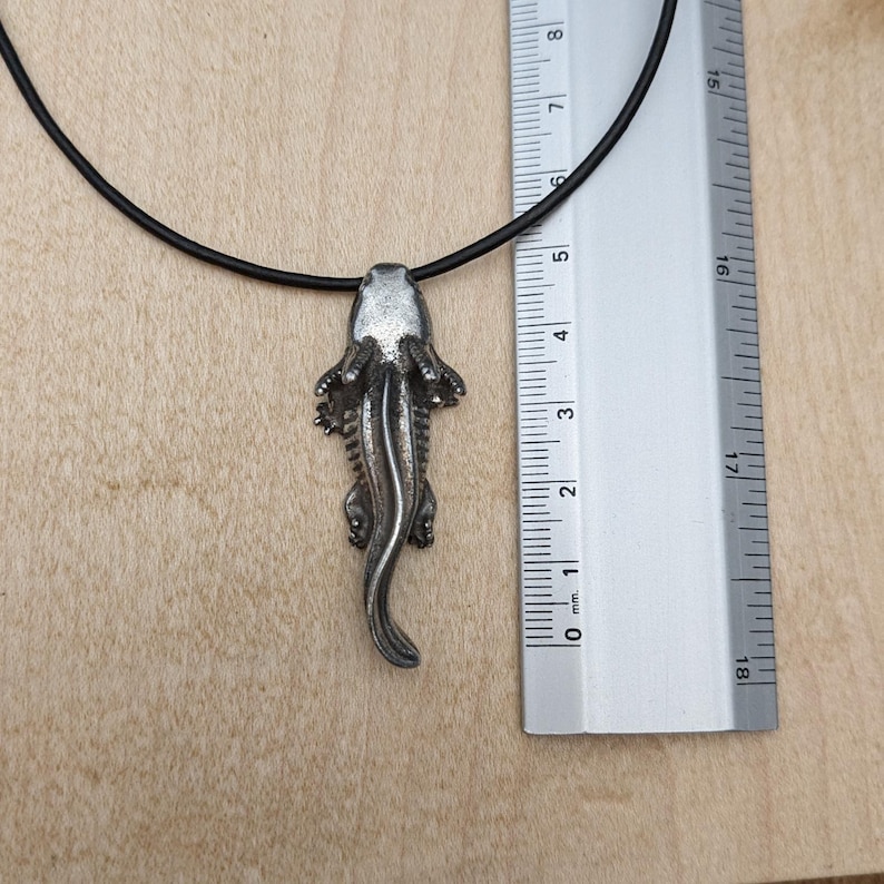 May include: A silver-colored pendant in the shape of a salamander, suspended from a black cord. The pendant is approximately 2 inches long. The necklace is displayed on a wooden surface next to a ruler.