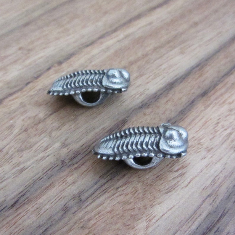 May include: Two silver-toned metal trilobite-shaped buttons. The buttons have a detailed design and a hole in the center for sewing.