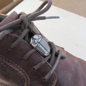 May include: A brown leather shoe with a silver trilobite-shaped shoelace charm.