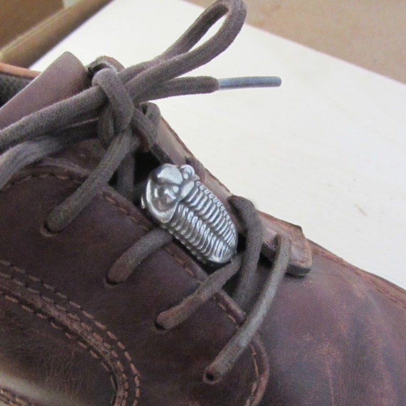 May include: A brown leather shoe with a silver trilobite-shaped shoelace charm.
