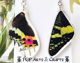 Sunset Moth Earrings, Science Teacher Gift, Moth Wings, Faux Taxidermy, Insect Earrings, Cottage Core Jewelry