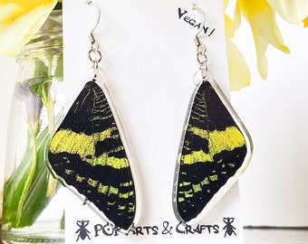 Sunset Moth Earrings, Science Teacher Gift, Moth Wings, Faux Taxidermy, Insect Earrings, Cottage Core Jewelry