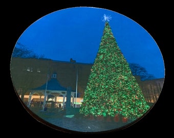 Christmas Tree @ Central Park Coaster - Johnstown PA - Central Park