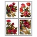 see more listings in the FLORAL NOTE CARD SETS section