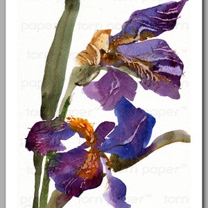 Mother's Day Gift Set of 6 NOTE CARDS Fragile Beauties Watercolor Paintings of Iris Flowers by Linda Henry NCWC091 image 4