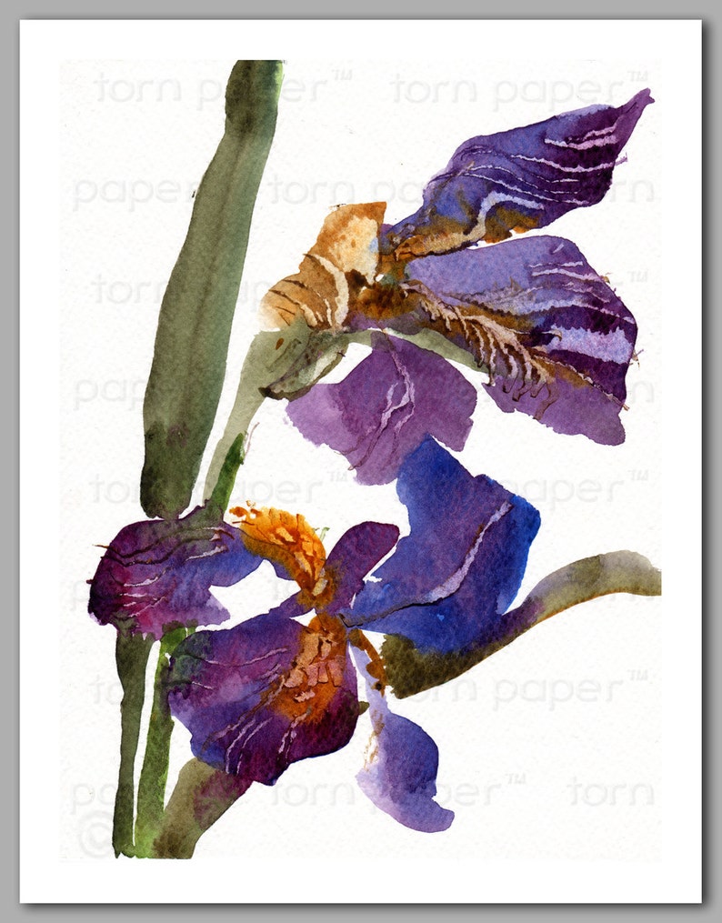 Mother's Day Gift Set of 6 NOTE CARDS Fragile Beauties Watercolor Paintings of Iris Flowers by Linda Henry NCWC091 image 4