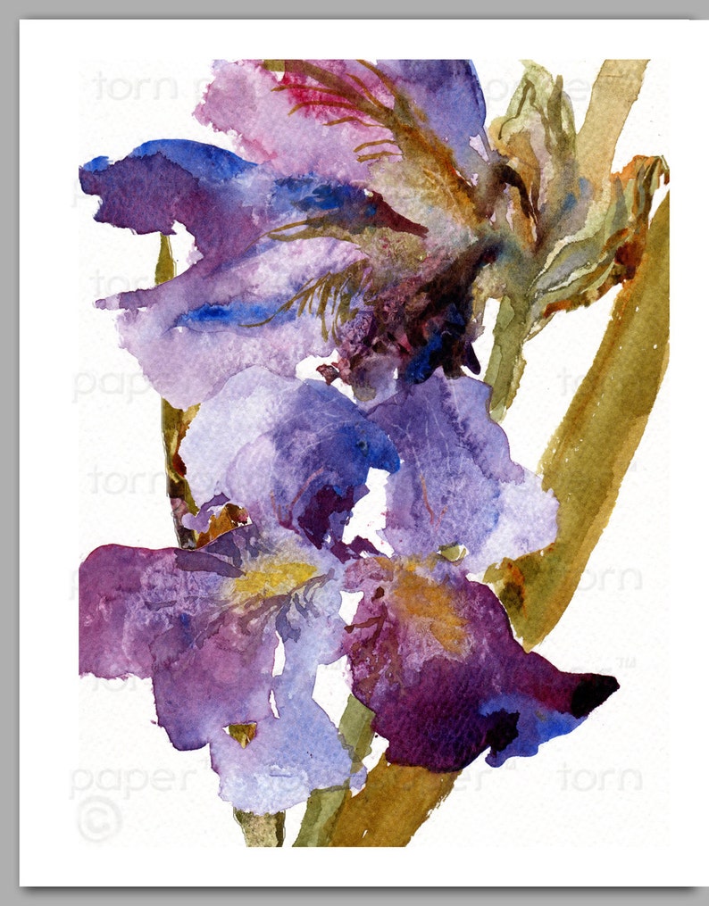 Mother's Day Gift Set of 6 NOTE CARDS Fragile Beauties Watercolor Paintings of Iris Flowers by Linda Henry NCWC091 image 3