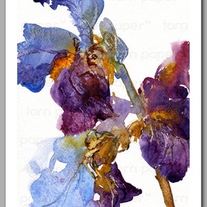 Mother's Day Gift Set of 6 NOTE CARDS Fragile Beauties Watercolor Paintings of Iris Flowers by Linda Henry NCWC091 image 2