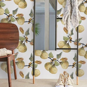 Papier peint aquarelle poires | Papier peint moderne en tissu adhésif | Décoration murale amovible