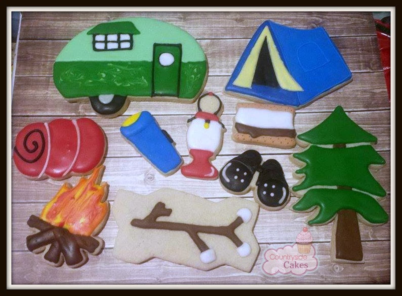 Camping Themed Decorated Sugar Cookies 1 Dozen Etsy