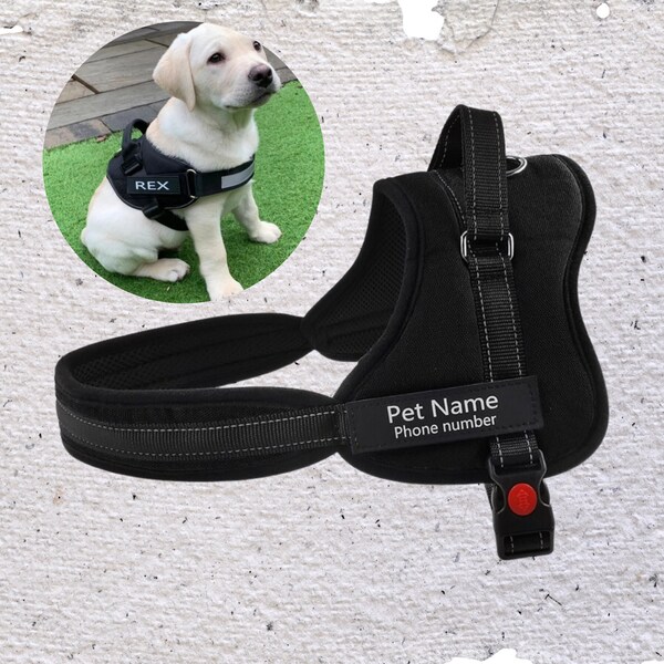 Personalized No Pull Dog Harness with Custom Name and Phone Number, Heavy Duty Pet Vest