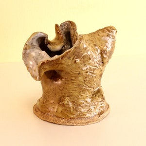 May include: A small, brown ceramic vase with a unique, organic shape. The vase has a textured surface and a wide opening.