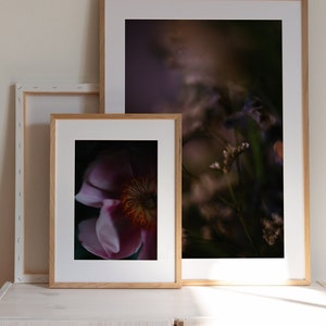 Peony Photography Print - Calming Floral Wall Art - Flower Photography - Pink Wall Art - Giclée Unframed Print