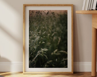 Meadow Haze - Green Grass Fine Art Print - Nature Photography - Calming Wall Decor - Giclée Print Unframed