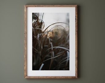 Wild Grass Photography Print - Peaceful Nature Print - Calming Leaves Wall Art - Meadow Fine Art Giclée Print Unframed
