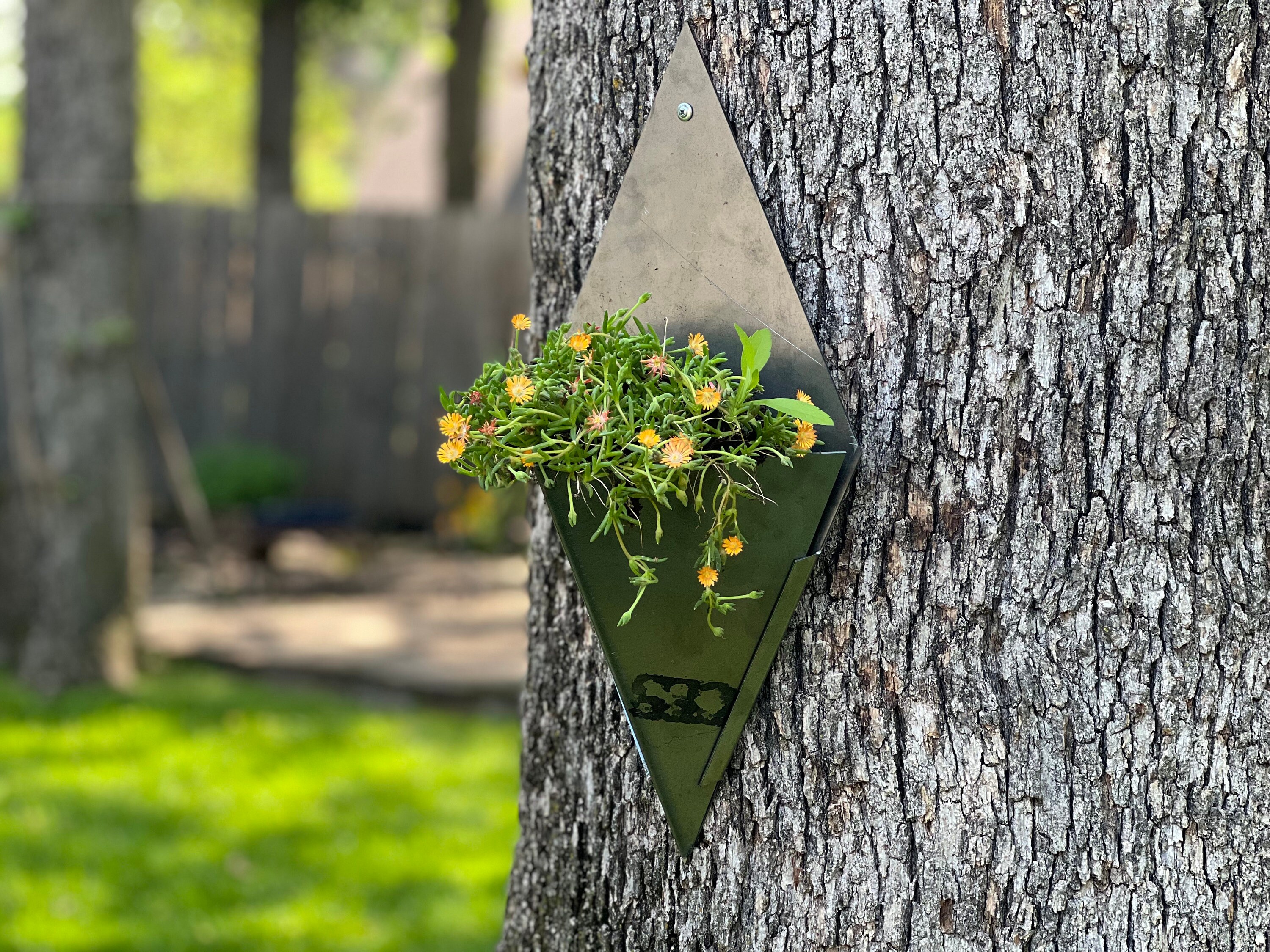 View of Green Wall Planters - Etsy