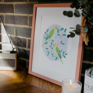 Sittiche Kunstdruck