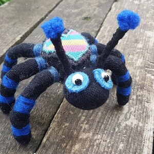 Op de afbeelding: Een zwarte en blauwe sokkenspin met een roze en blauw gestreept hart op zijn rug. De spin heeft grote blauwe ogen en zit op een houten oppervlak.