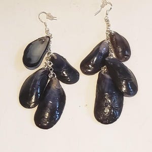 May include: A pair of dangle earrings featuring multiple dark, glossy, elongated shell-like charms suspended from silver-toned metal chains. Each earring is attached to a silver-toned hook wire with a small, clear plastic backing for secure wear.