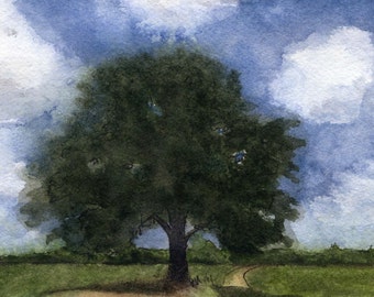 Ltd Ed. 6" X 8.4" Giclee Print of Original M. Cummins Watercolor: "Bur Oak"