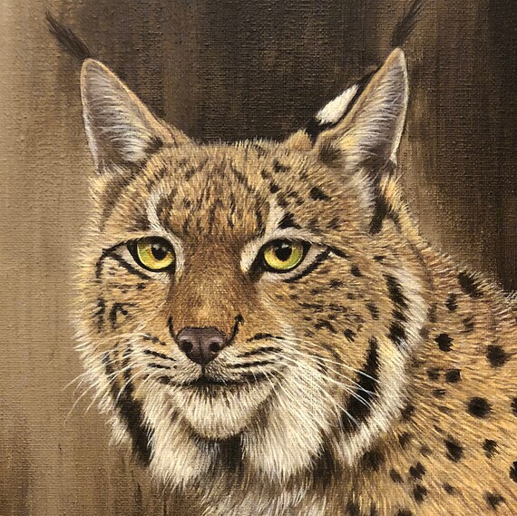 Dessous De Verre Lynxes Eurasien – Lynx Big Cat Wild Animal