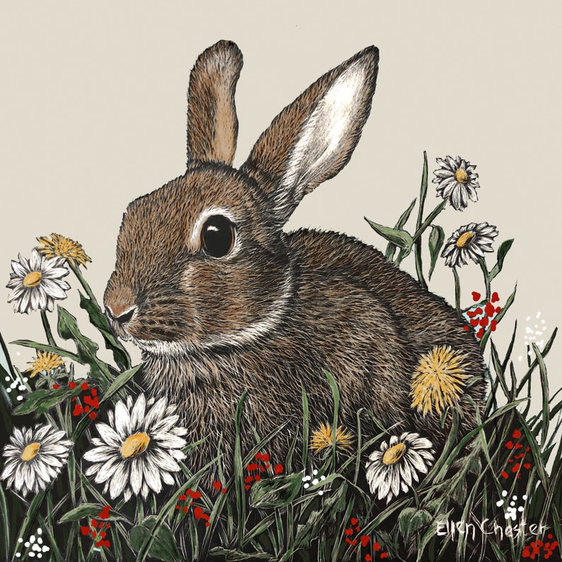 jewelry adornment wildlife giclee print cute rabbit Bunny earrings fashion animal lover ears scratchboard art