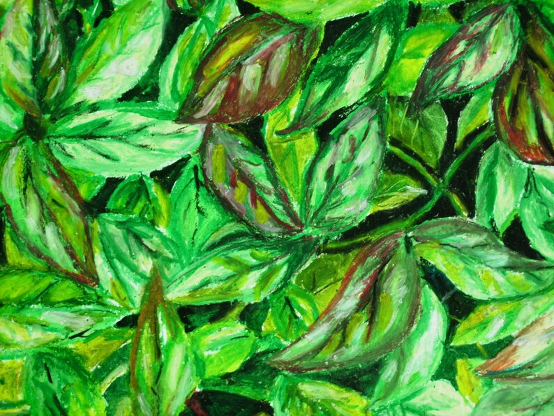 Leaves Original Oil Pastel Drawing on 14x17 Bristol Board Etsy