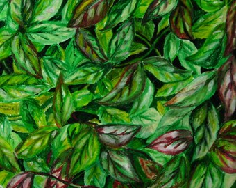 Leaves, Original Oil Pastel Drawing on 14x17 Bristol Board, Green Leaves Drawing, Wall Art, Nature Drawing, Oil Pastel Leaves, Green Drawing
