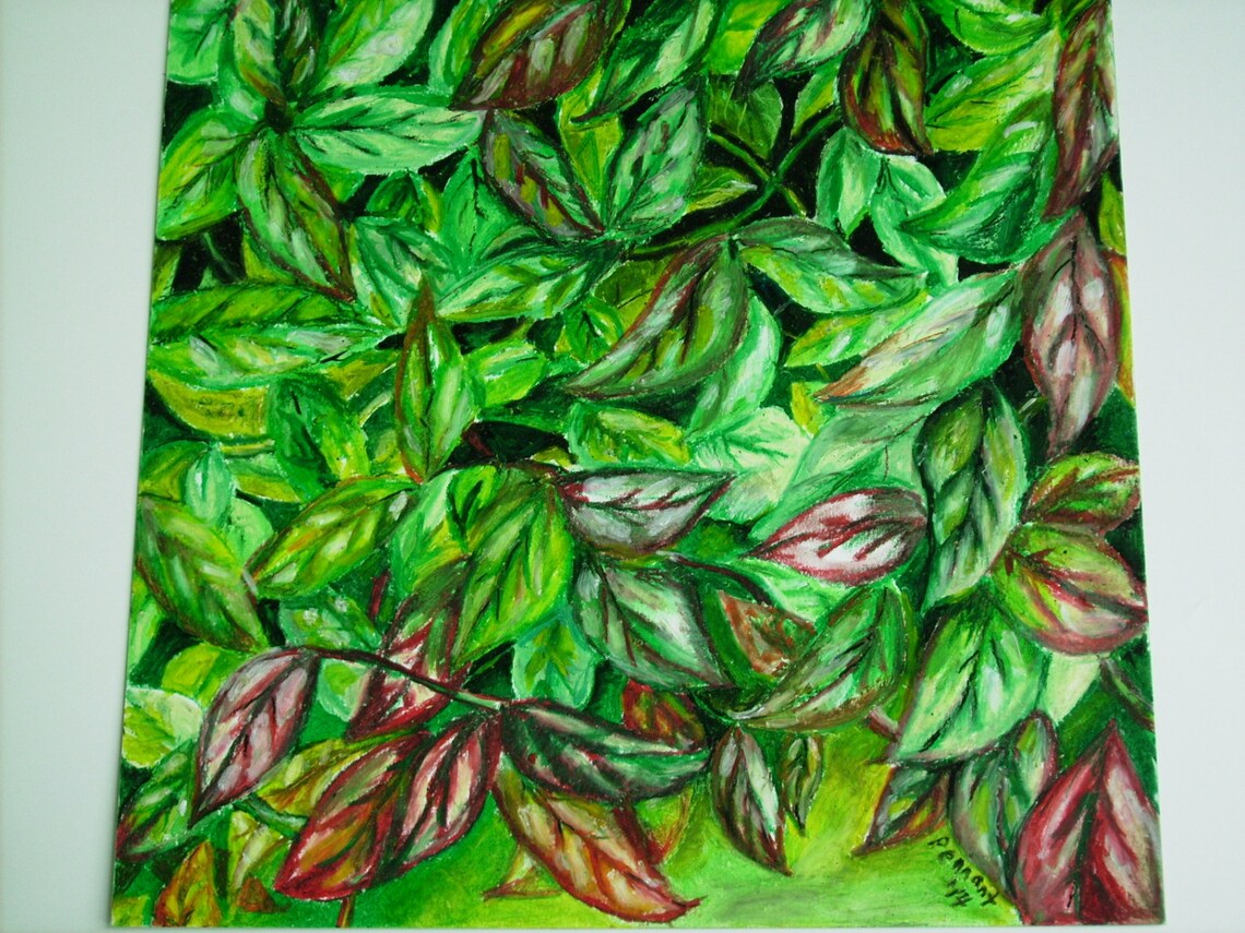 Leaves Original Oil Pastel Drawing on 14x17 Bristol Board Etsy