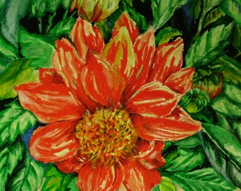 Orange Dahlia, 14x17 Oil Pastel Flower Drawing on Bristol Board, Orange Flower, Nature, Wall Art, Dahlia Flower, Oil Pastel Dahlia, Flower