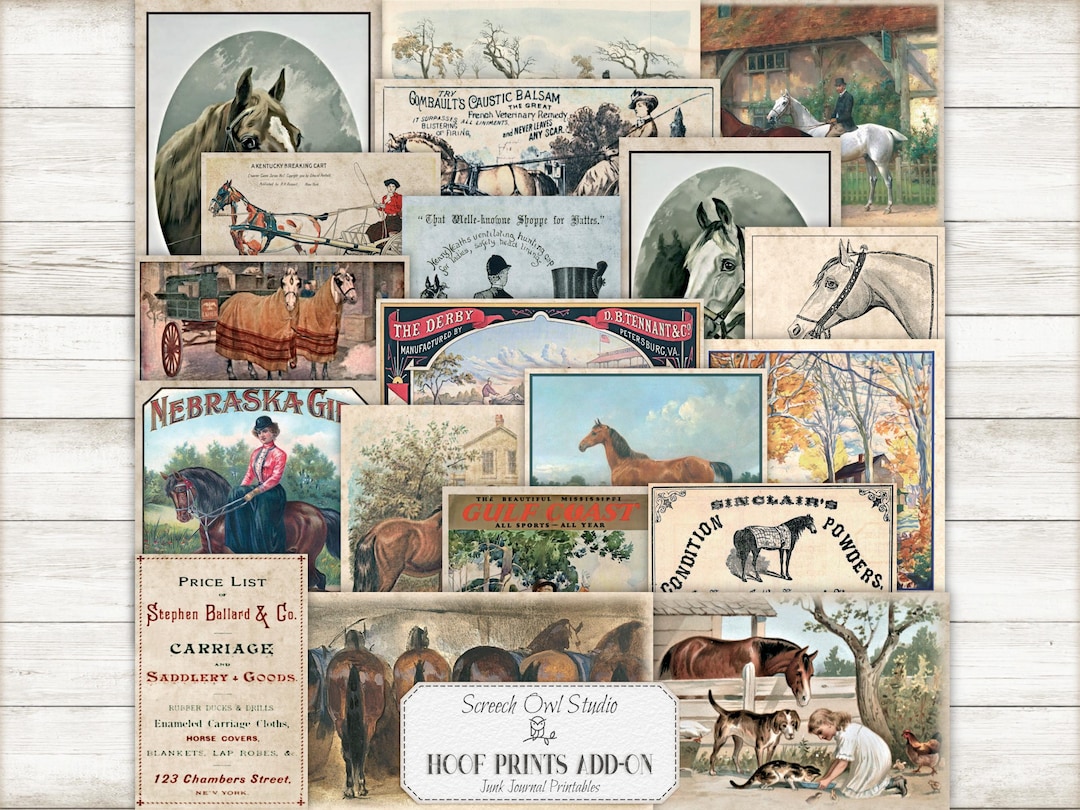 Vintage Horse Ephemera, Junk Journal Ephemera, Horse Back Riding