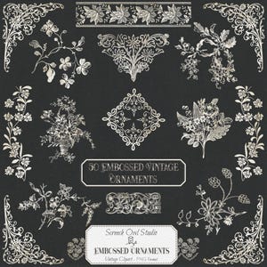 May include: A collection of 50 embossed vintage ornaments in a PNG format. The ornaments are in a silver color and feature floral and decorative designs on a black background. Includes corner designs, floral bouquets, and decorative borders.