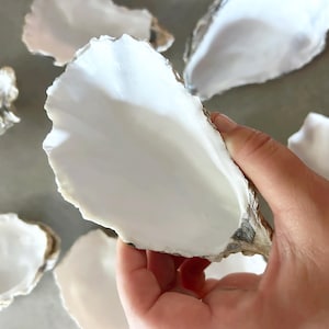 May include: A collection of oyster shells with smooth, bright white interiors and natural, textured grey and brown exteriors. The shells are irregular in shape with scalloped edges, showcasing a contrast between the painted white inner surface and the organic, rough outer shell texture.