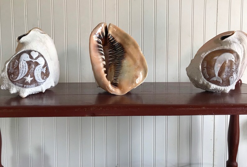 Dolphin Hand-Carved Conch