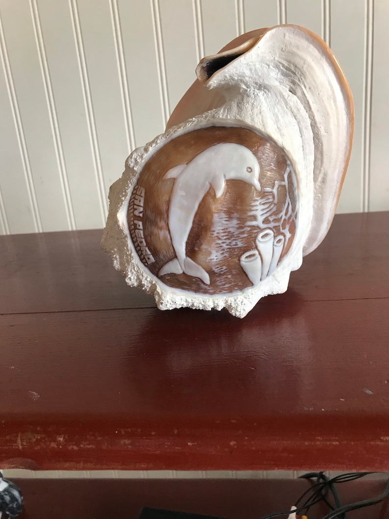 Dolphin Hand-Carved Conch