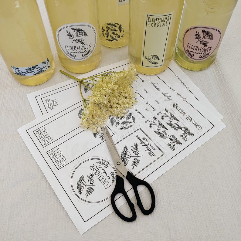 Elderflower Cordial Label Instant Download ENGLISH LABELS image 3