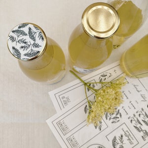 Elderflower Cordial Label Instant Download ENGLISH LABELS image 6