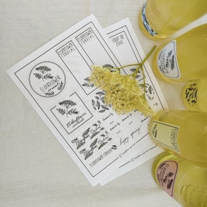 Elderflower Cordial Label Instant Download ENGLISH LABELS image 1