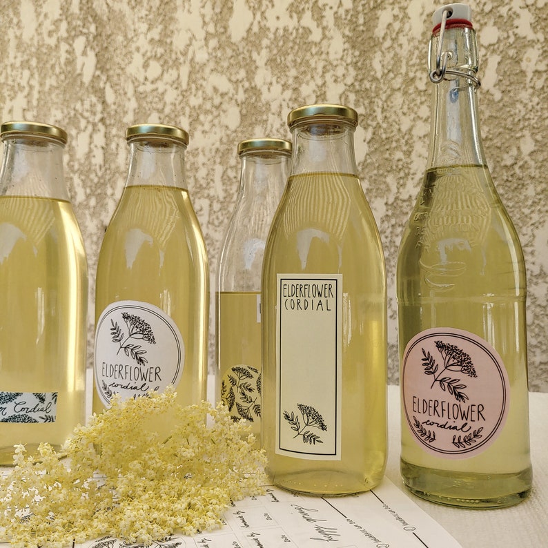 SERBO-CROATIAN LABELS Elderflower Cordial Label Instant Download Digital Download image 5