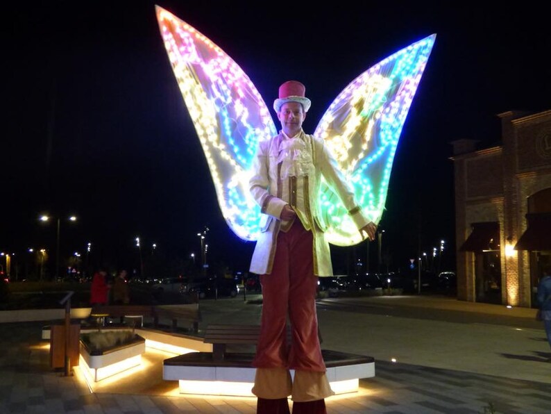 Smart LED light up wireframe butterfly wings from ETEREshop /_P34