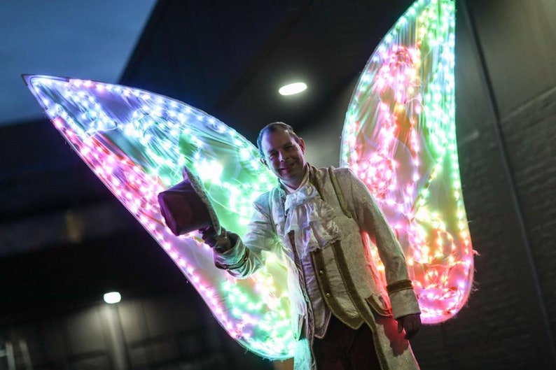 Smart LED light up wireframe butterfly wings from ETEREshop /_P34