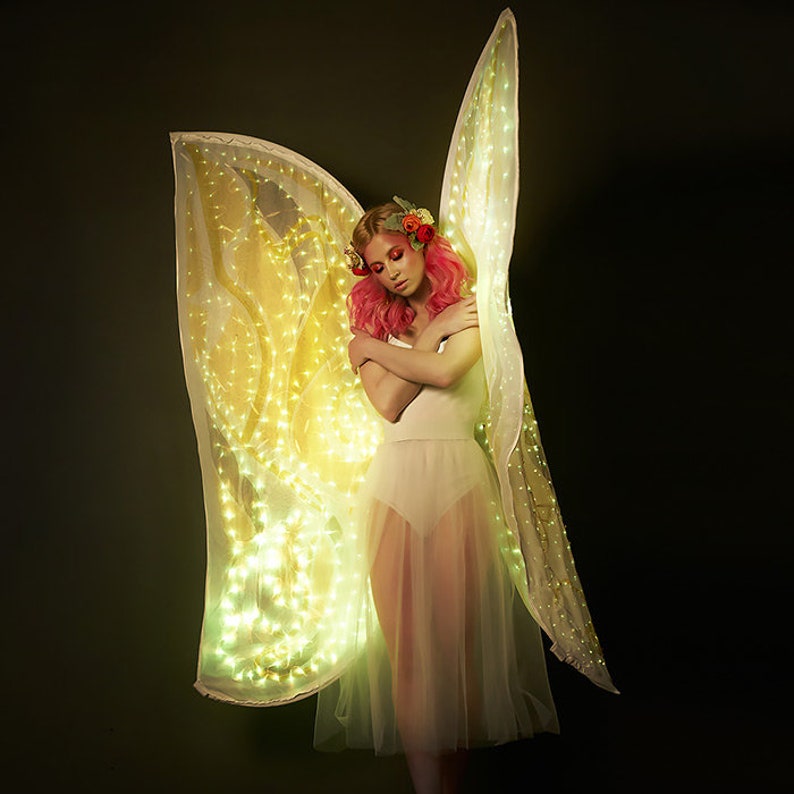 Smart LED light up wireframe butterfly wings from ETEREshop /_P34
