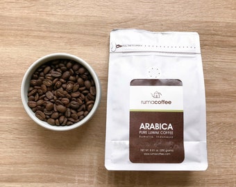 Café de civeta pura Kopi Luwak Arabica salvaje de Rumacoffee