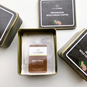 Pure Wild Kopi Luwak Arabica Civet Coffee from Rumacoffee