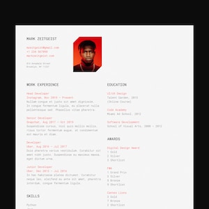 Resume Template for Google Docs, Word, Pages / Modern, Professional, Minimal, Clean, Beautifully Designed, Executive CV