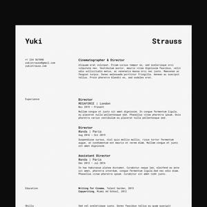 Resume Template for Google Docs, Word, Pages / Modern, Professional, Minimal, Clean, Beautifully Designed, Executive CV