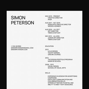 Resume Template for Google Docs, Word, Pages / Modern, Professional, Minimal, Clean, Beautifully Designed, Executive CV