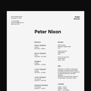 Resume Template for Google Docs, Word, Pages / Modern, Professional, Minimal, Clean, Beautifully Designed, Executive CV