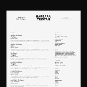 Resume Template for Google Docs, Word, Pages / Modern, Professional, Minimal, Clean, Beautifully Designed, Executive CV