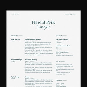 Resume Template for Google Docs, Word, Pages / Modern, Professional, Minimal, Clean, Beautifully Designed, Executive CV